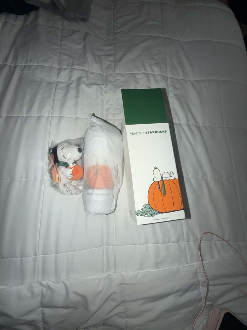 Starbucks Peanuts Snoopy Stainless Steel Tumbler 16oz Great Pumpkin with Charm